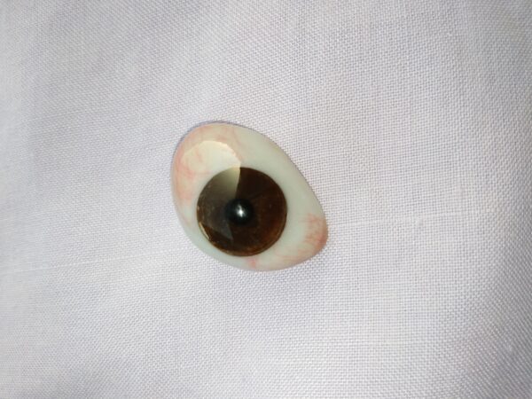 prosthetic lens